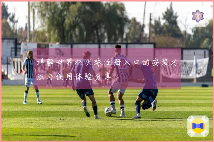 详解世界杯买球注册入口的安装方法与使用体验分享