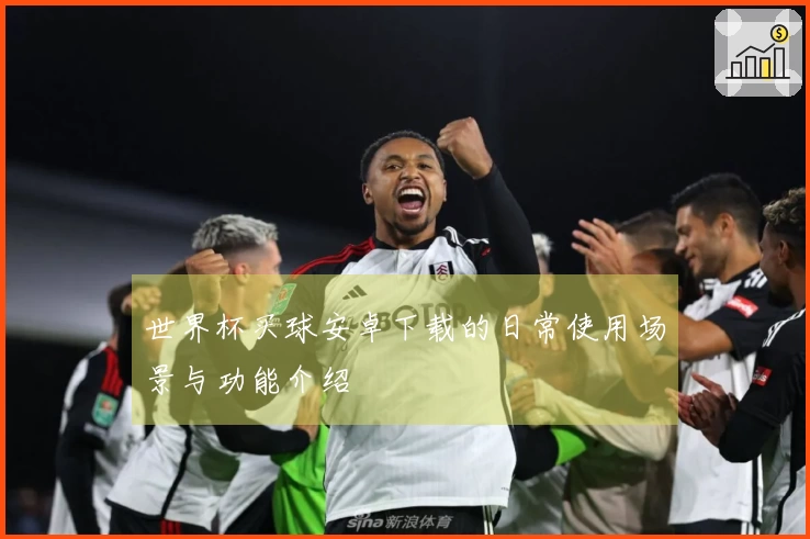 世界杯买球安卓下载的日常使用场景与功能介绍