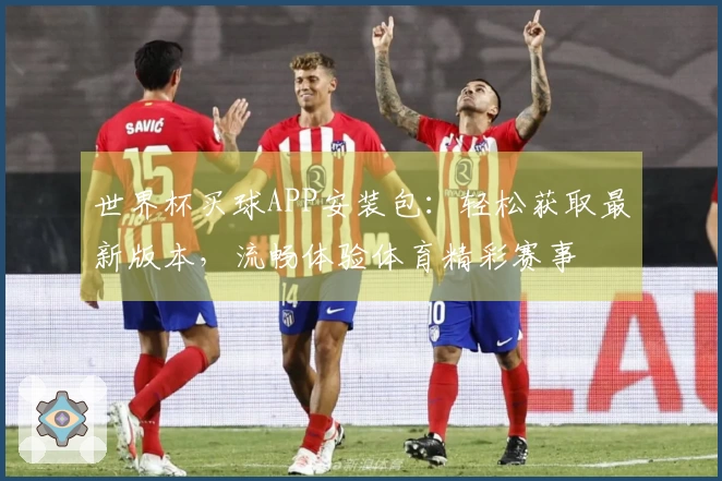 世界杯买球APP安装包:轻松获取最新版本,流畅体验体育精彩赛事