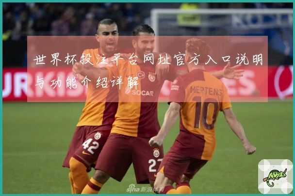 世界杯投注平台网址官方入口说明与功能介绍详解