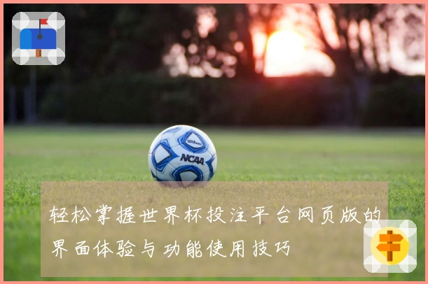 轻松掌握世界杯投注平台网页版的界面体验与功能使用技巧