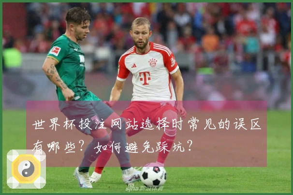 世界杯投注网站选择时常见的误区有哪些？如何避免踩坑？