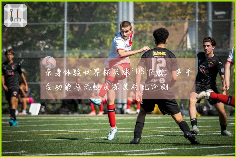 亲身体验世界杯买球iOS下载:多平台功能与流畅度深度对比评测