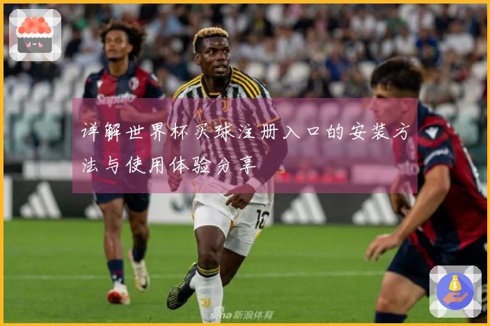 详解世界杯买球注册入口的安装方法与使用体验分享