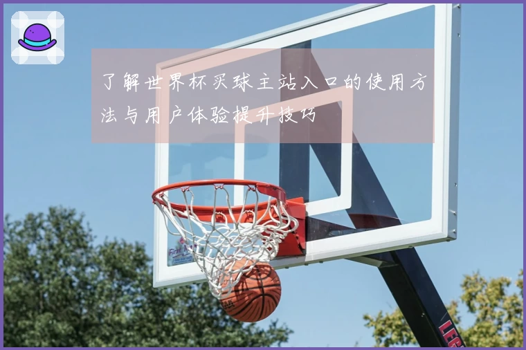 了解世界杯买球主站入口的使用方法与用户体验提升技巧