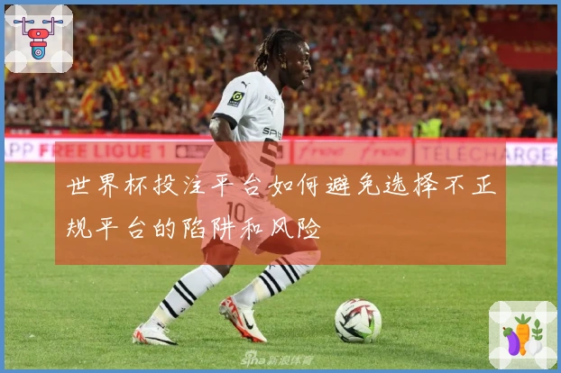 世界杯投注平台如何避免选择不正规平台的陷阱和风险