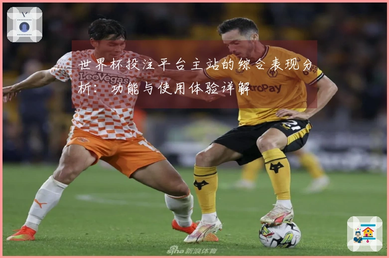 世界杯投注平台主站的综合表现分析：功能与使用体验详解