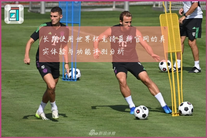 长期使用世界杯竞猜最新官网的真实体验与功能评测分析