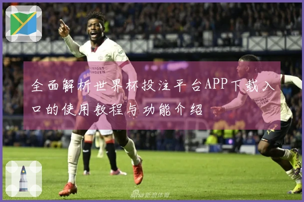 全面解析世界杯投注平台APP下载入口的使用教程与功能介绍