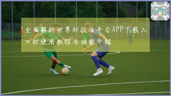 全面解析世界杯投注平台APP下载入口的使用教程与功能介绍