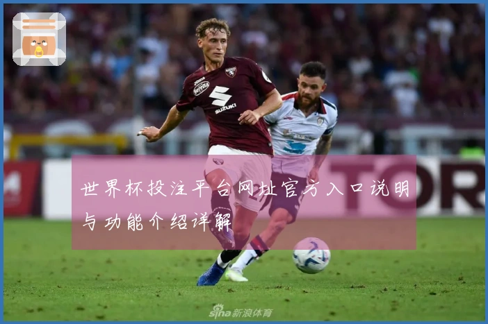 世界杯投注平台网址官方入口说明与功能介绍详解