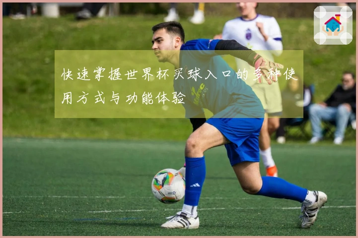 快速掌握世界杯买球入口的多种使用方式与功能体验